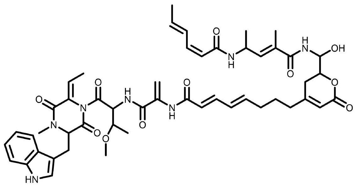 Hangtaimycin生物合成基因簇及其应用