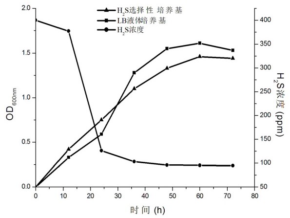 一株芽孢杆菌PL-2及其在水产养殖中的应用